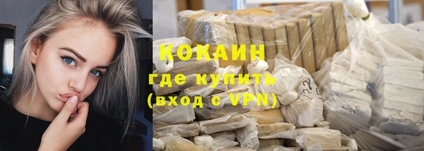 крисы Козловка