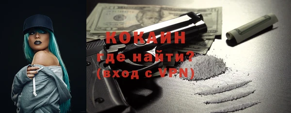 крисы Козловка