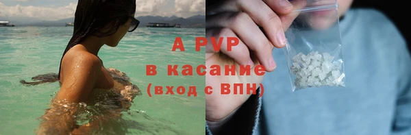 крисы Козловка