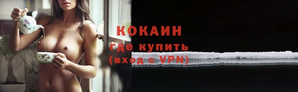 PSILOCYBIN Козельск