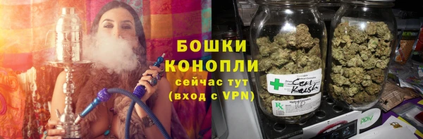 крисы Козловка
